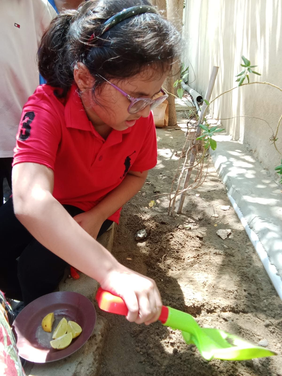 Tree planting activity